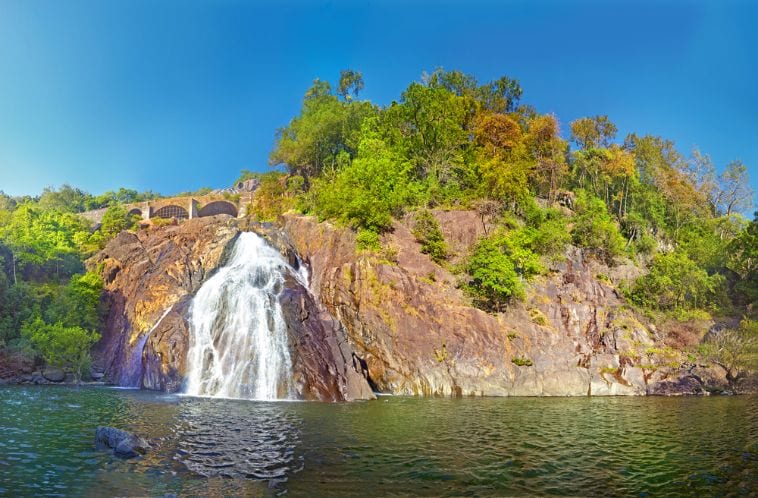 Bhagwan Mahavir Wildlife Sanctuary_2_SS
